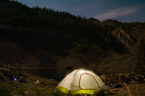 forest night avventura nel parco foreste casentinesi