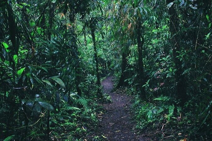 Leticia viaggio Foresta Amazzonica in Colombia|||