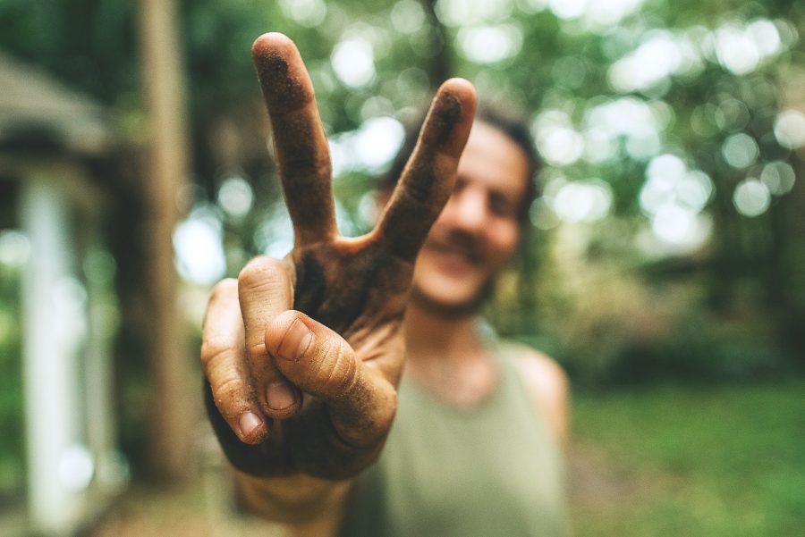 volontariato vitto e alloggio farm workaway|fare volontariato e conoscere il mondo i consigli di Mattia Fiorentini Scomfort Zone||volontariato workaway lavoro in cambio di vitto e alloggio|