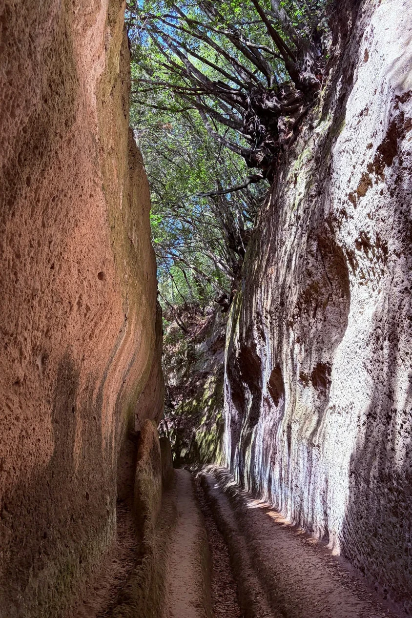 Cave etrusche 1109