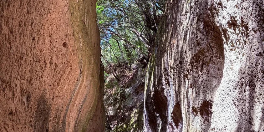 Cave etrusche 1109