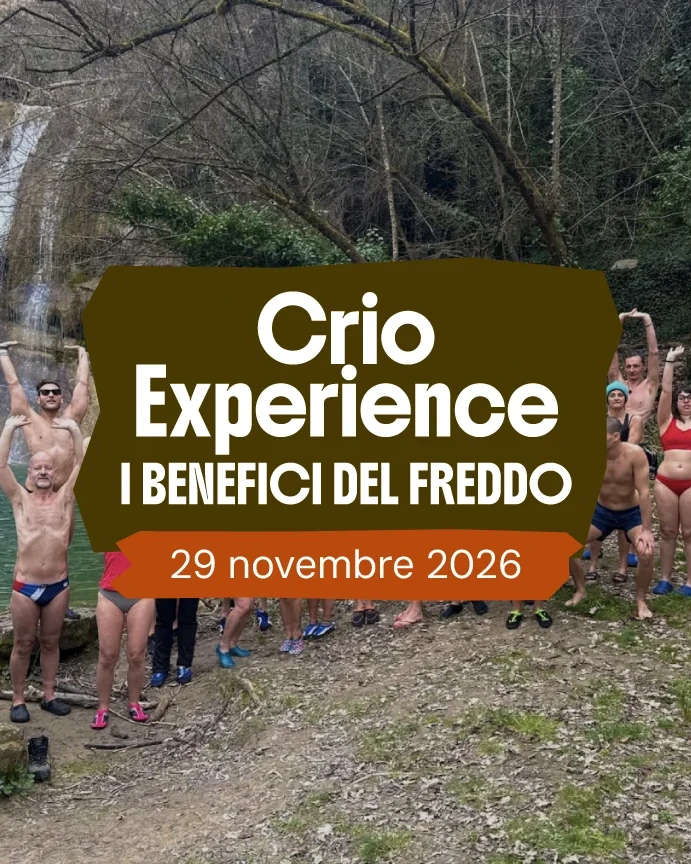 Crio experience 1140